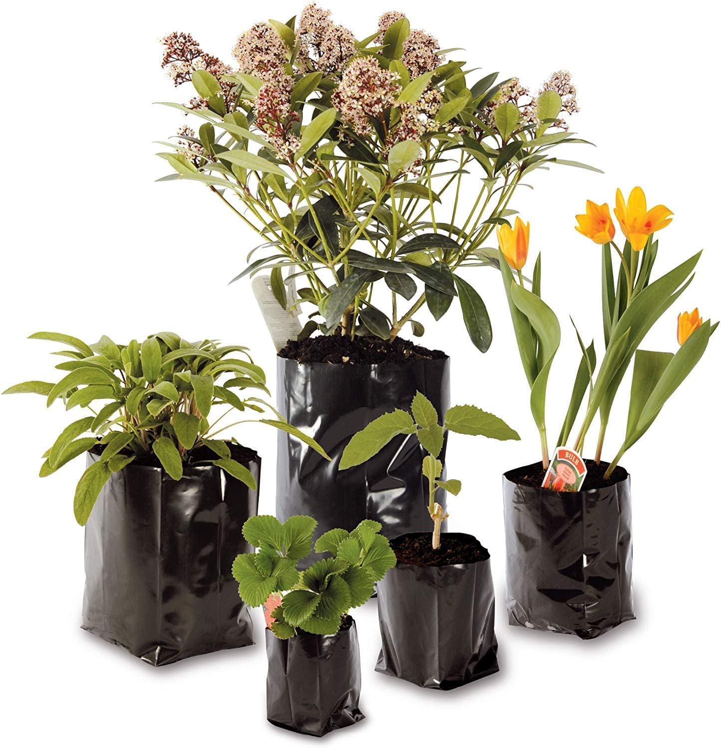HADOPOTS POLYPOTS by Pretty Wild Seeds (6 Litre x 100) PLANTPOTS