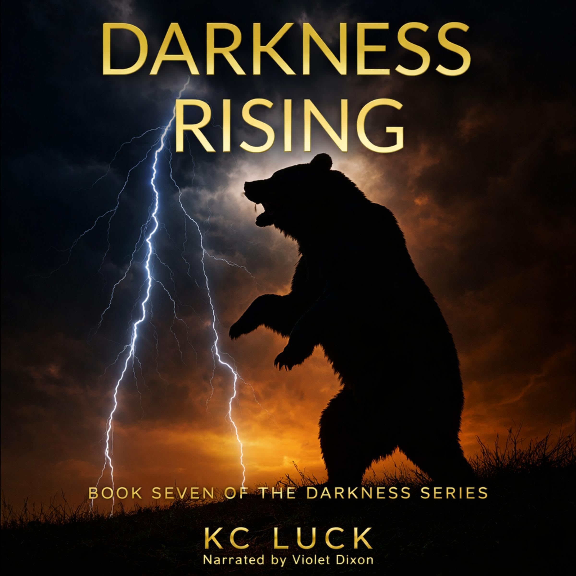 Cover art for Darkness Rising: The Darkness Series, Book 7