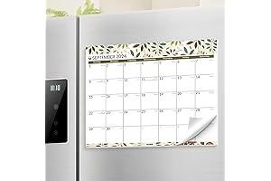 SUNEE 2024-2025 Calendar Magnetic Monthly Refrigerator Calendar with Thick Magnets