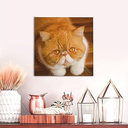 Usa エキゾチックショートヘアー Lサイズ ワンにゃんアートキャンバス World Tour Series 絵画 風景画 猫 Shapefm Dk Usa エキゾチックショートヘアー Lサイズ ワンにゃんアートキャンバス World Tour Series 絵画 風景画 猫 Shapefm Dk