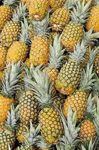 Miniatura 1 de Nuevas 100 piezas de semillas de fruta de piña Generic