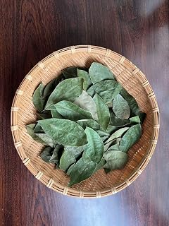 栽培のローレルの葉 50枚位? ガーデニング 園芸用品