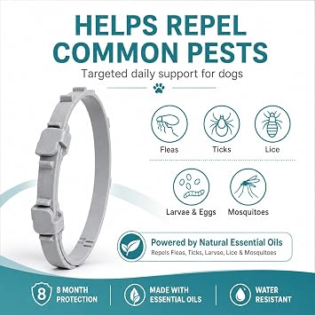 Craveit Flea and Tick Collar for Dogs, 4 Pack, Small Dogs Under 18 lbs