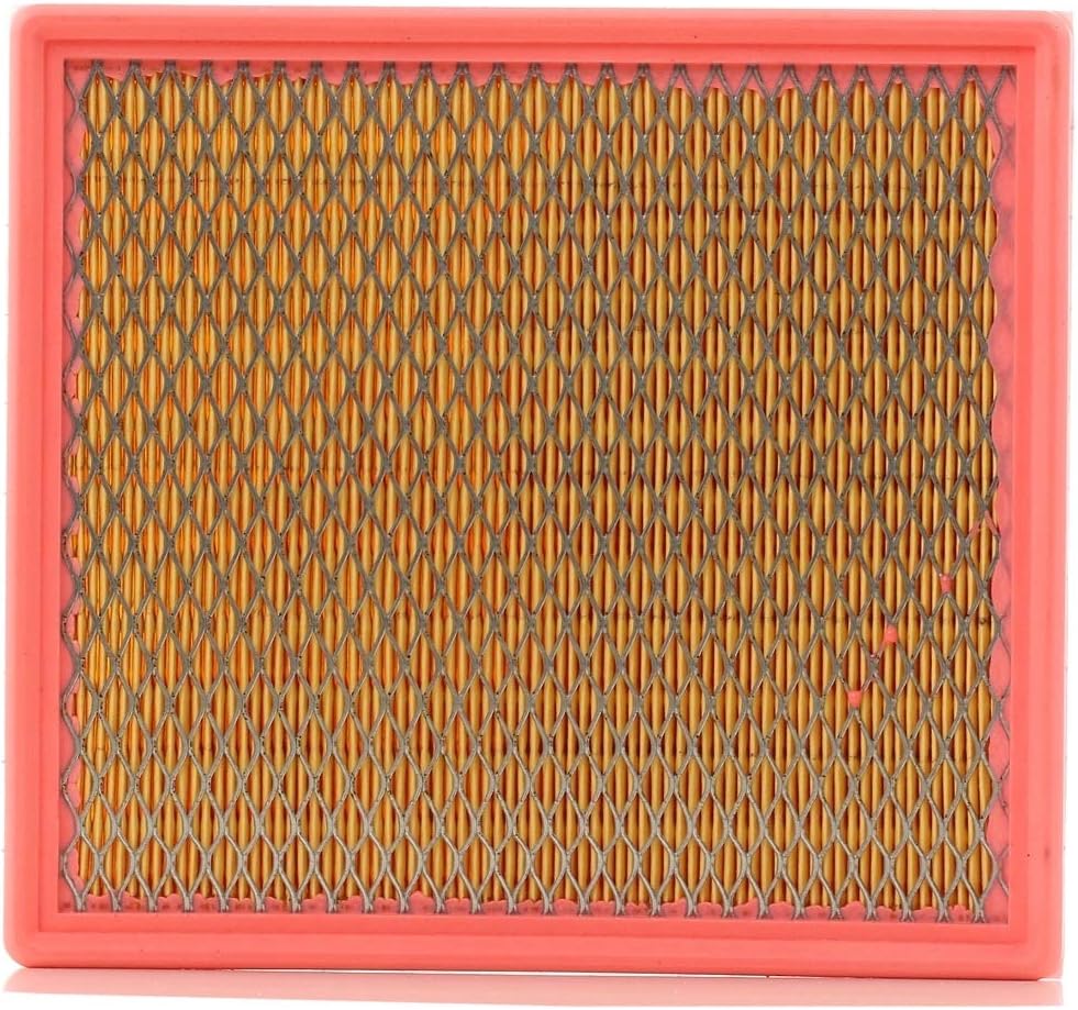 MANN-FILTER C 24 100 Air Filter - CARS + TRANSPORTERS