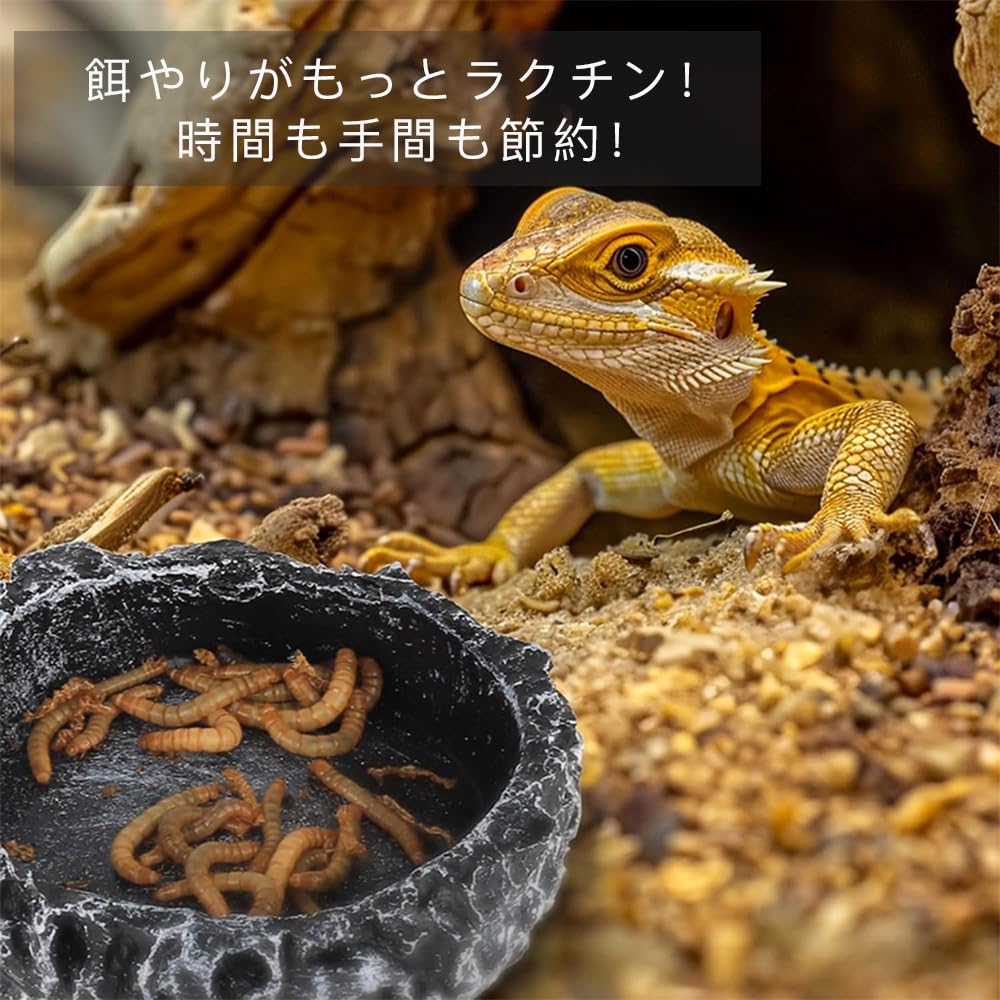 Amazon | CHANGJIQ 爬虫類 水入れ 餌入れ 2個入 水飲み皿 自然の岩