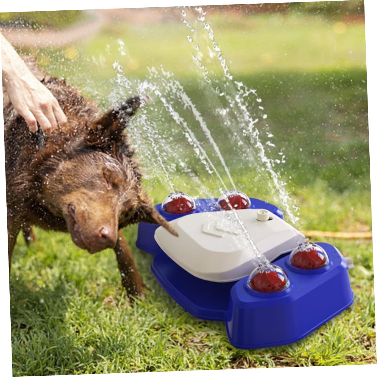 Jouet Arroseur pour Chien Multifonctionnel pour Jeu et Bain Bleue