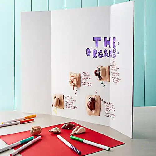 Miniatura 5 de Rsgift 4 tableros de póster medianos de 26 x 16.5 pulgadas con cintas de doble cara y cartón, tableros de exhibición corrugados, tableros de