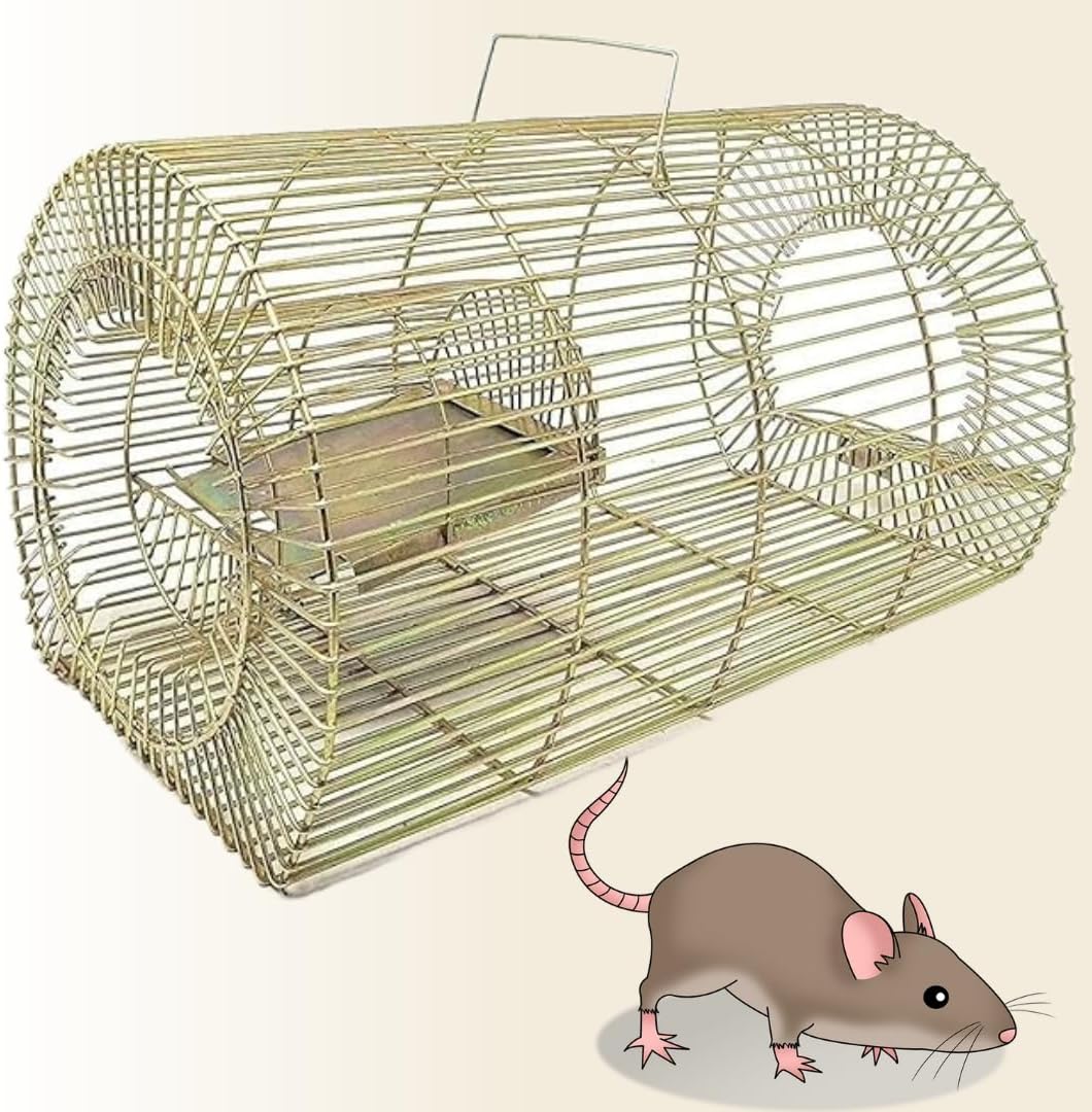 RATOPOLIS Rat Trap Cage | Large Size | Mouse & Rat | Rust-Resistant | Brown | 22L x 10W x 10H cm | Humane Pest Control
