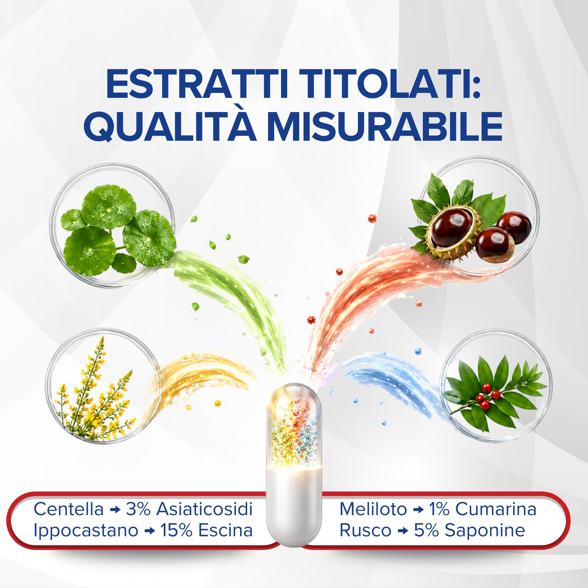 Diosmina Esperidina Alto Dosaggio 1200mg 180 Capsule - Per Funzionalità del Microcircolo con Centella Asiatica, Ippocastano, Rusco e Bromelina