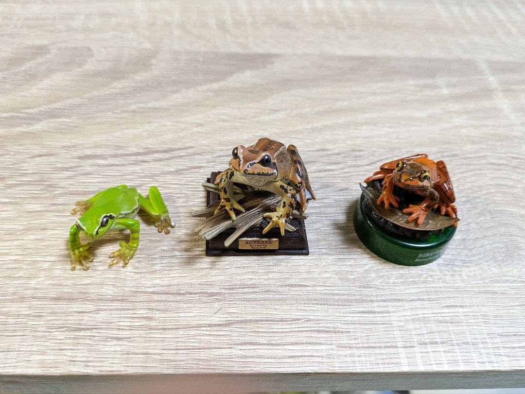 Amazon.co.jp: エゾアカガエル アマガエル カエル フィギュア