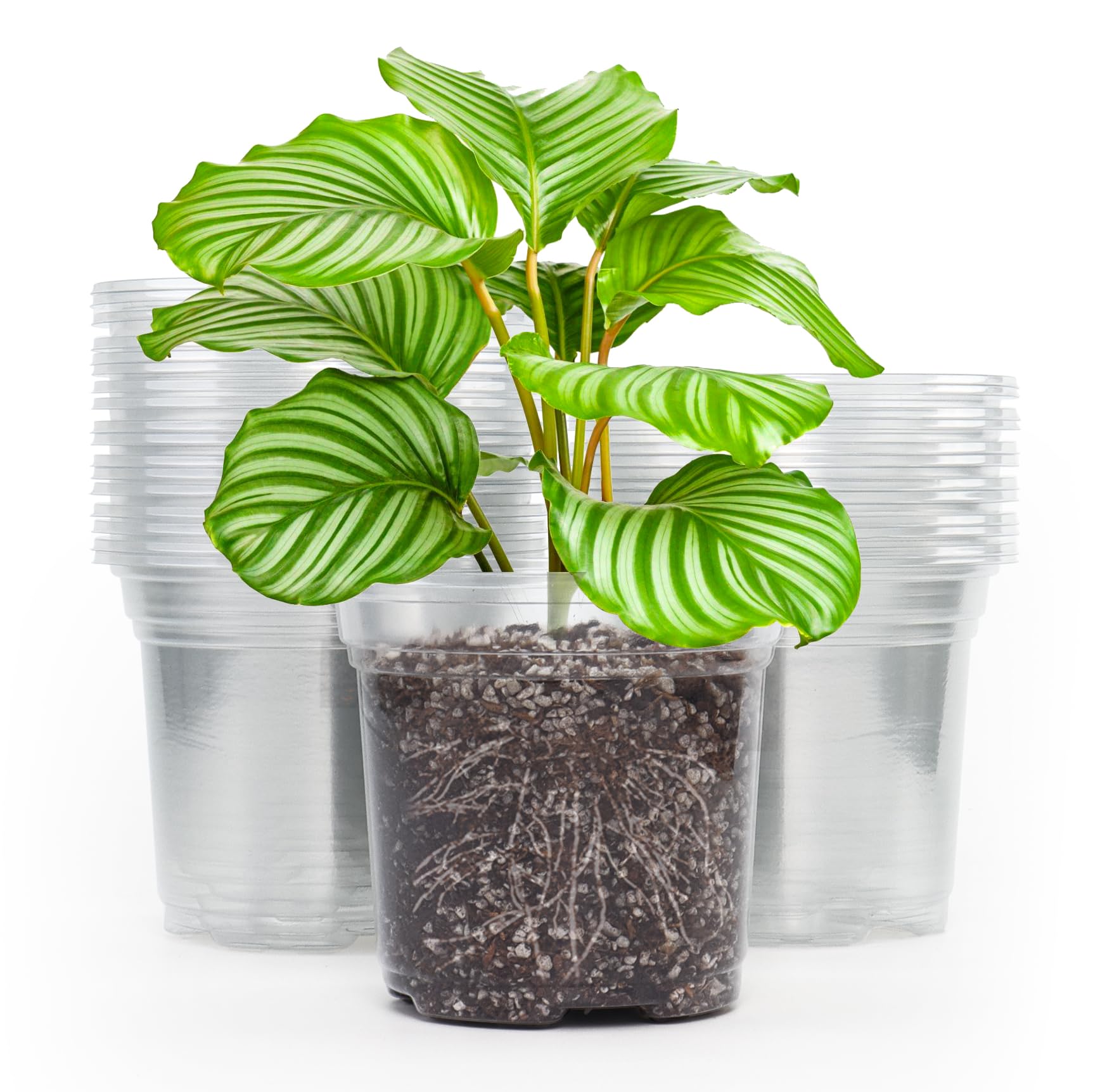 MIXC 30 Packs 5" Reinforced Clear Nursery Pots with Drainage Holes, Transparent Plastic Plant Pot Seedling Pots, Seed Starter Pots for Planting, Flower Pot