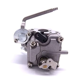 Amazon.com: Boat Motor 16100-ZW6-716 16100-ZW6-717