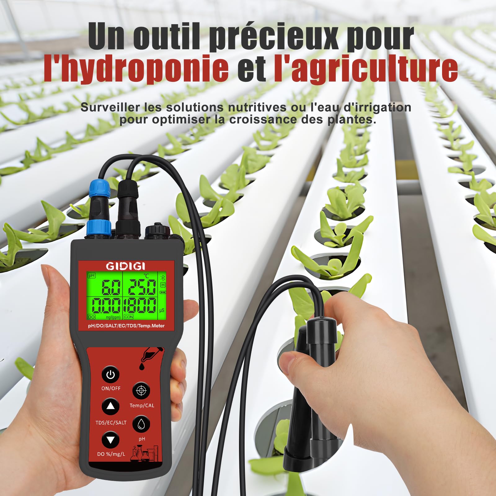 Compteur d'oxygène dissous dans l'eau, pH-mètre intelligent 6 en 1 DO, testeur portable pH DO Salt EC TDS pour étang de Koi, aquaculture, moniteur d'environnement