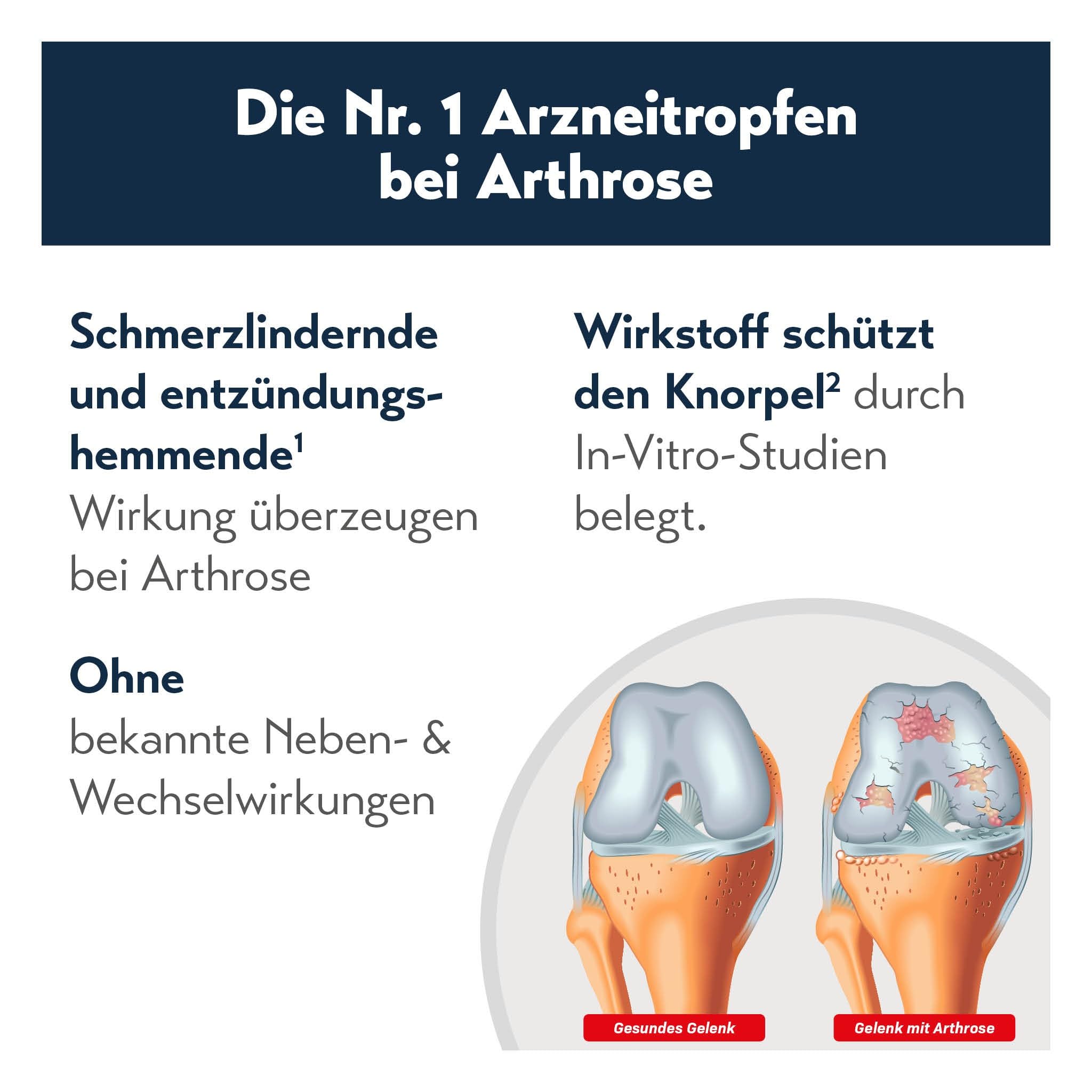 RubaXX Arthro [100ml] - Natürliches Arzneimittel speziell bei Arthrose - Kniearthrose, Hüftarthrose, Fingergelenksarthrose, Handgelenksarthrose
