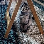 Review Image by Thecreativelotuslab Thecreativelotuslab