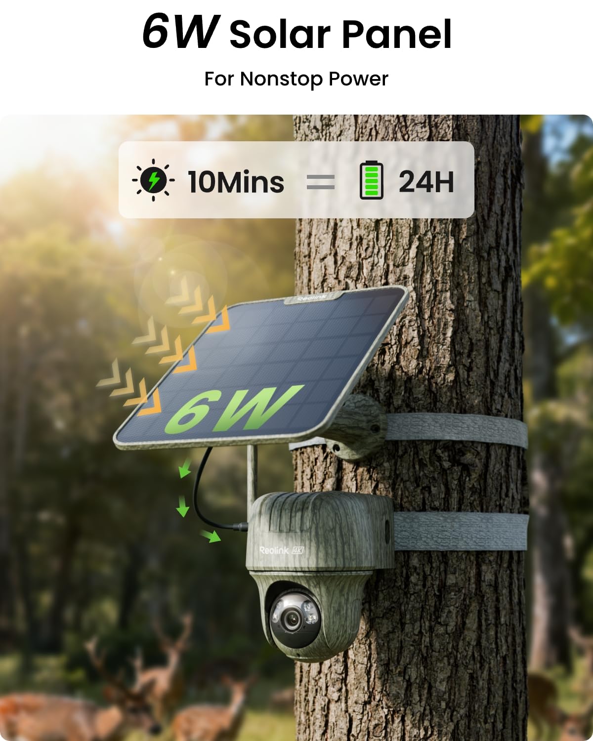Reolink 4K Kamera Solar 4G LTE do Monitoringu na Zewnątrz z Nożycowym Mechanizmem, Widzeniem Nocnym i Detekcją Ruchu PIR, Rozpoznawaniem Zwierząt, Akumulatorem i Panelem Słonecznym + Karta microSD 32G