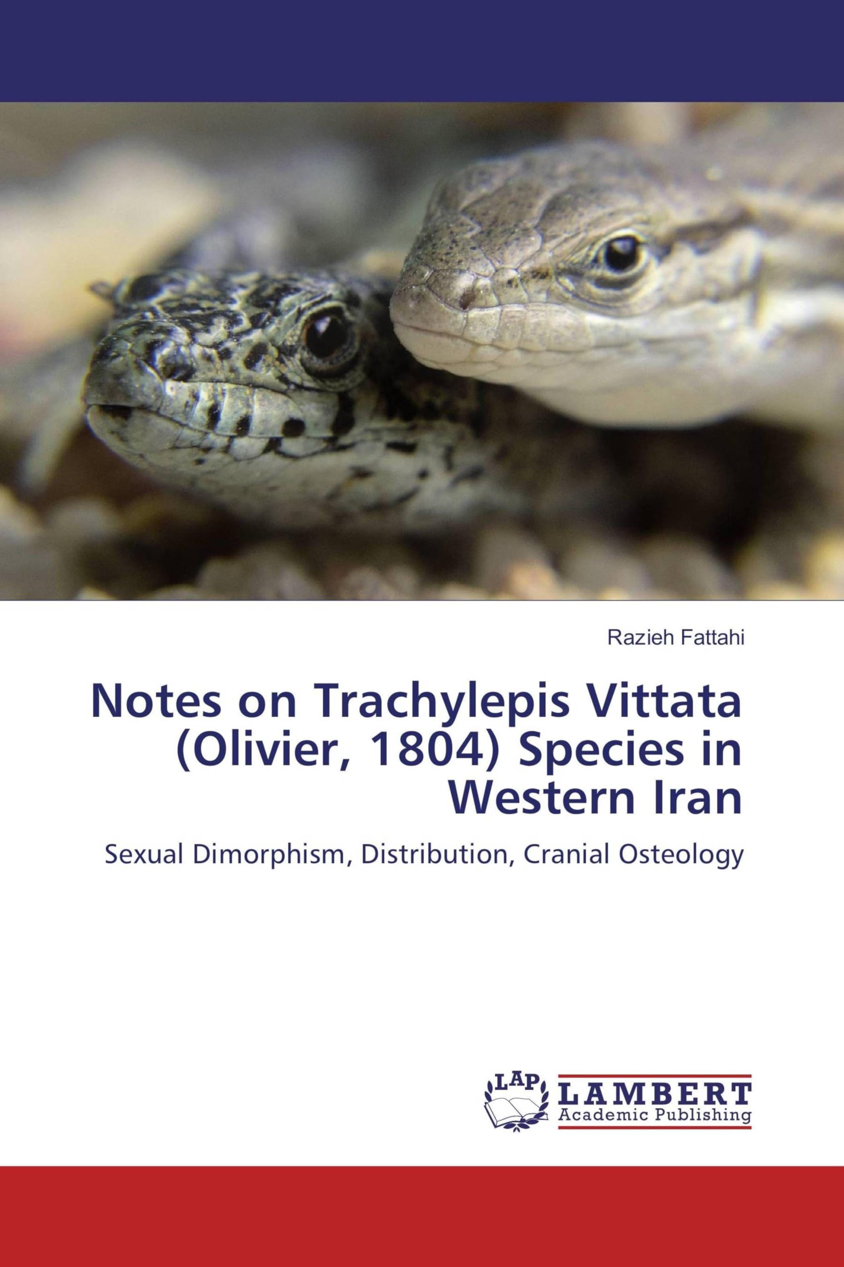 Notes on Trachylepis Vittata (Olivier, 1804) Species in Western Iran: Sexual Dimorphism, Distribution, Cranial Osteology