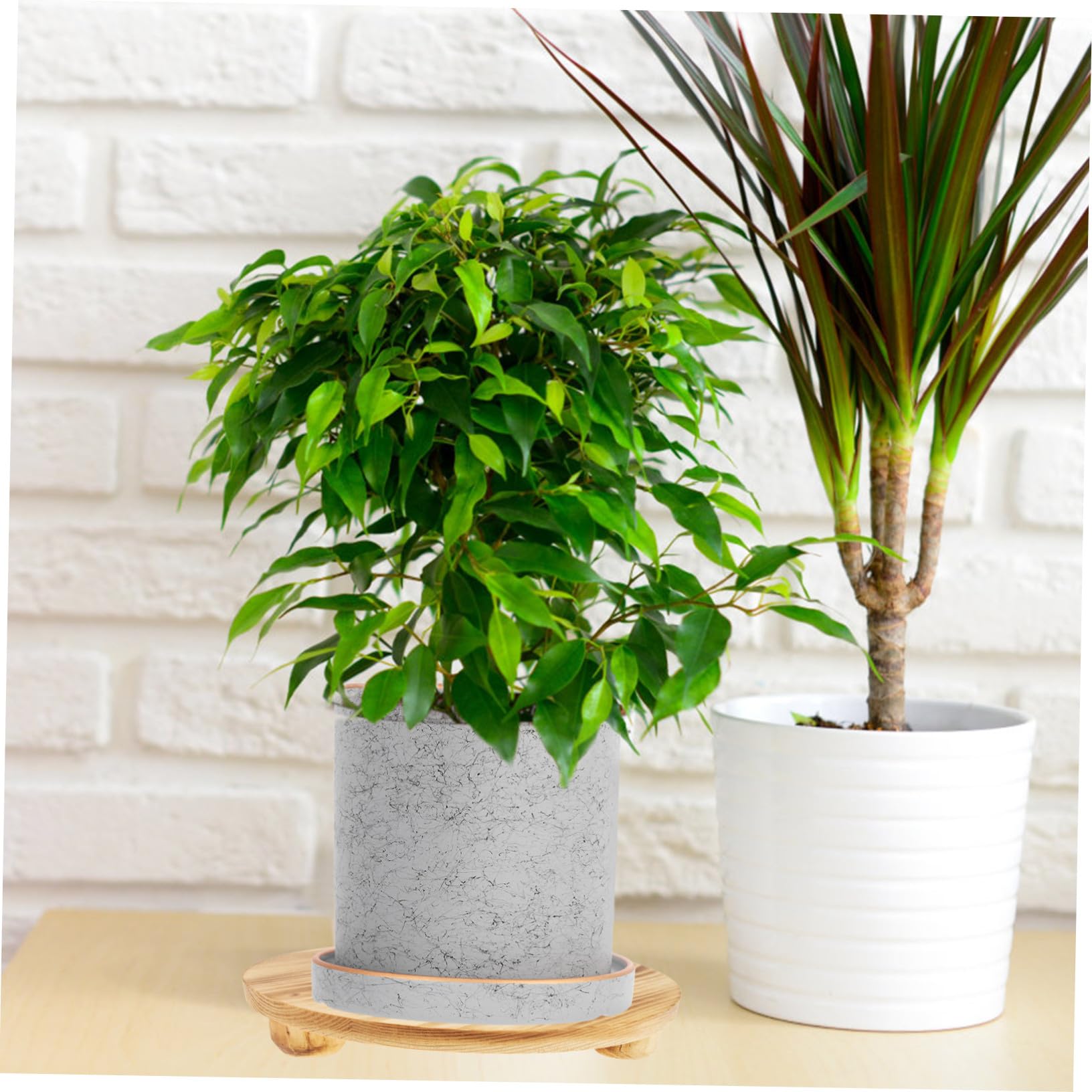 Soporte para Macetas de Madera Khaki, Base de Mesa para Plantas | Apto para Macetas y Tiestos, Uso en Salón E Interior, Estructura en Madera
