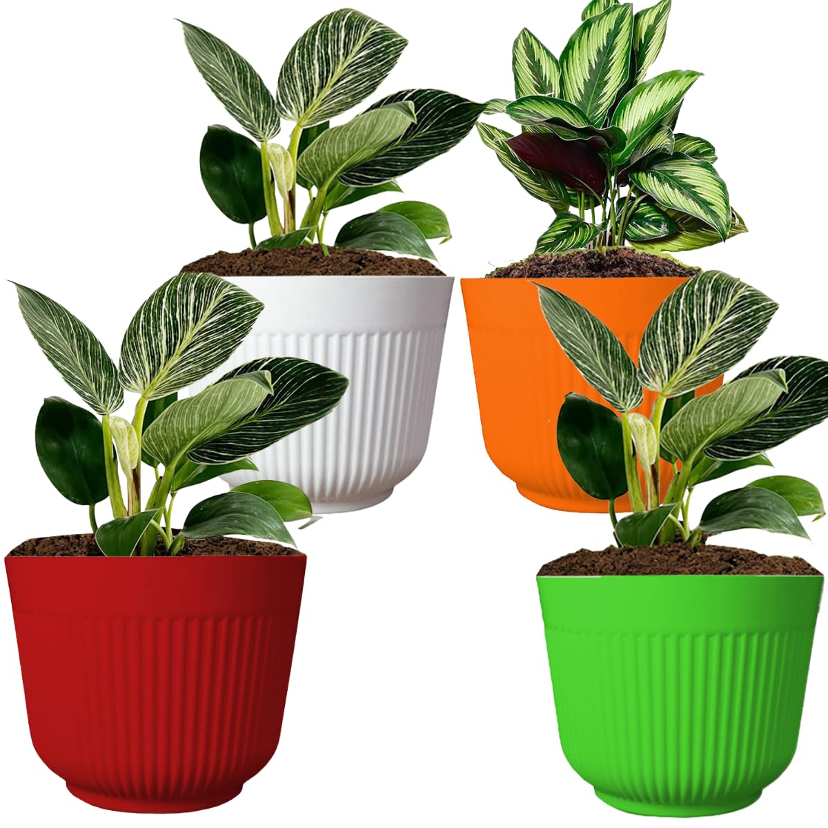 See full amazon price history chart for TECHBLAZE 12 Inch Big Size Planters Multicolour Plastic Flower Pots UV Resistance Outdoor Gamla for Balcony Gardening Nursery Indoor Planter for Home Office Decor Living Room (Pack of 4) TECHBLAZE 12 Inch Big Size Planters Multicolour Plastic Flower Pots UV Resistance Outdoor Gamla for Balcony Gardening Nursery Indoor Planter for Home Office Decor Living Room (Pack of 4) (B09Z81XNDF) Amazon Price History, Amazon Price Tracker