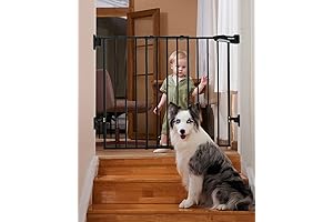 Babelio Wrought Iron Gates Outdoor for Enhanced Safety and Peace of Mind