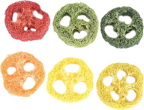 6pcs Loofah Lotus Root Slice Chew Toys for Hamsters and Healthy Biting Playthings for Oral Care Large Random and Pet Accessories