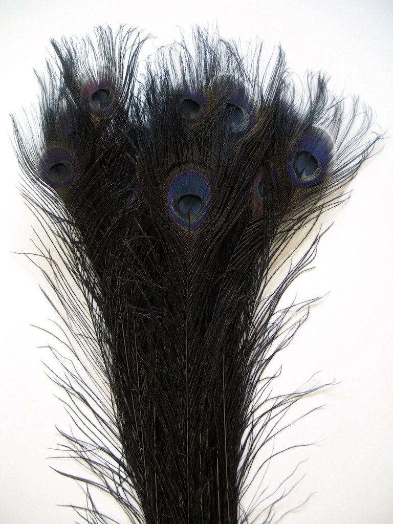 10 Pcs Peacock Bleached Feathers (30''- 35