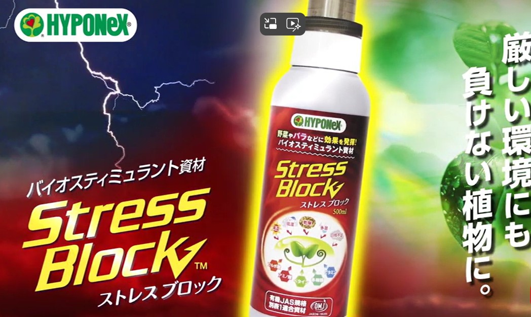Amazon | ハイポネックスジャパン(HYPONeX JAPAN) 肥料 ストレス