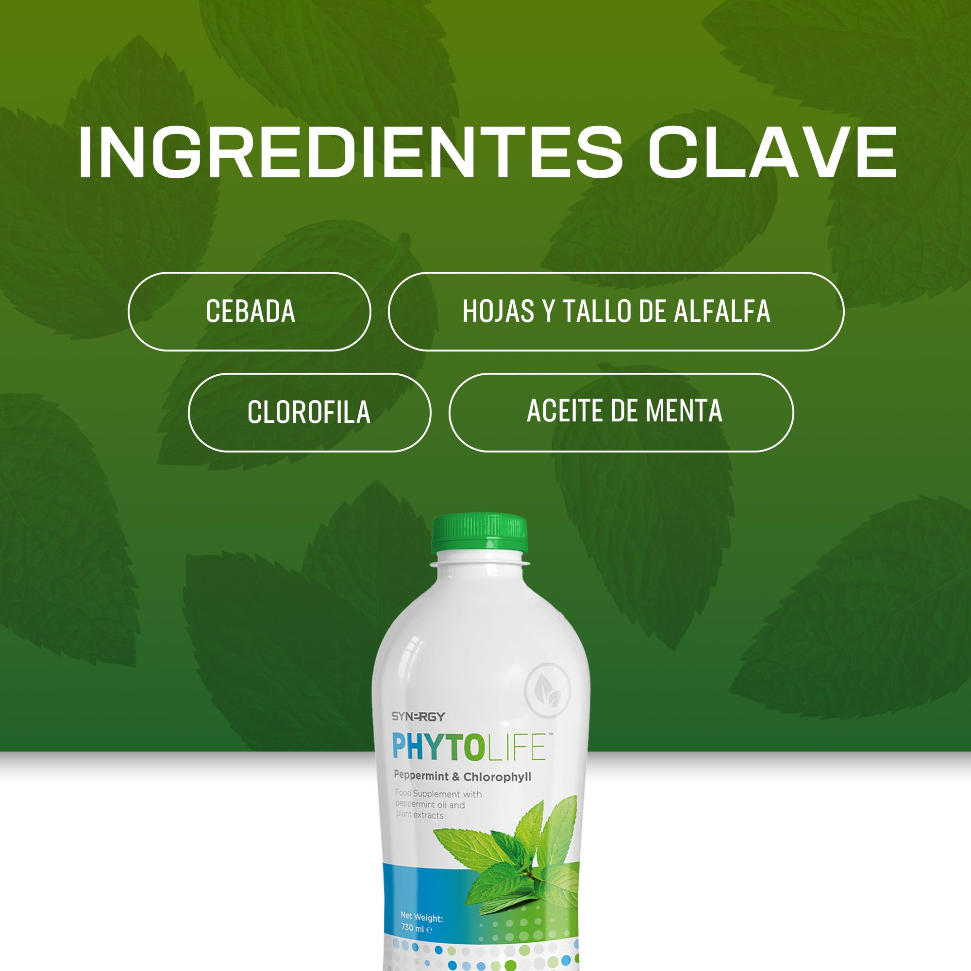 Synergy Worldwide Phytolife 730ml | Complemento Alimenticio Líquido de Clorofila, Aceite de Menta y Extractos de Plantas | Favorece la Salud Digestiva e Intestinal | 48 porciones