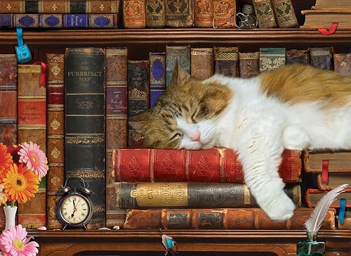 Cat Nap Tin