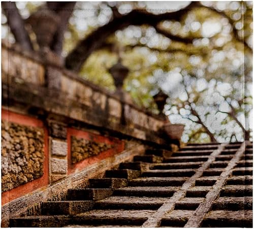 3dRose Paño de lavado 11x12 para rostro y cuerpo - USA, Florida, Miami, Museo y Jardines de Vizcaya, Escaleras