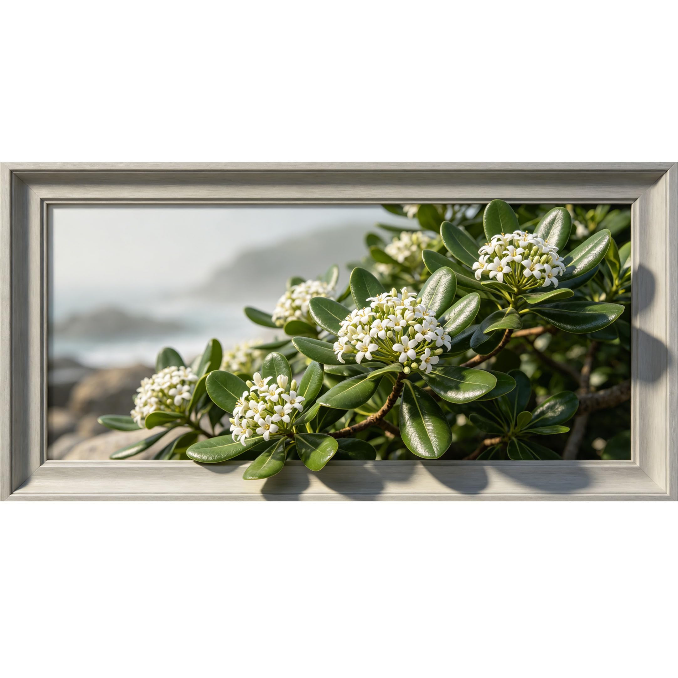 Agglomerix 3D Framed Wall Art White Pittosporum Flowers Coastal Botanical Nature Large Size SelfAdhesive Removable Wall Decor Prints Artwork for Living Room Bedroom Office