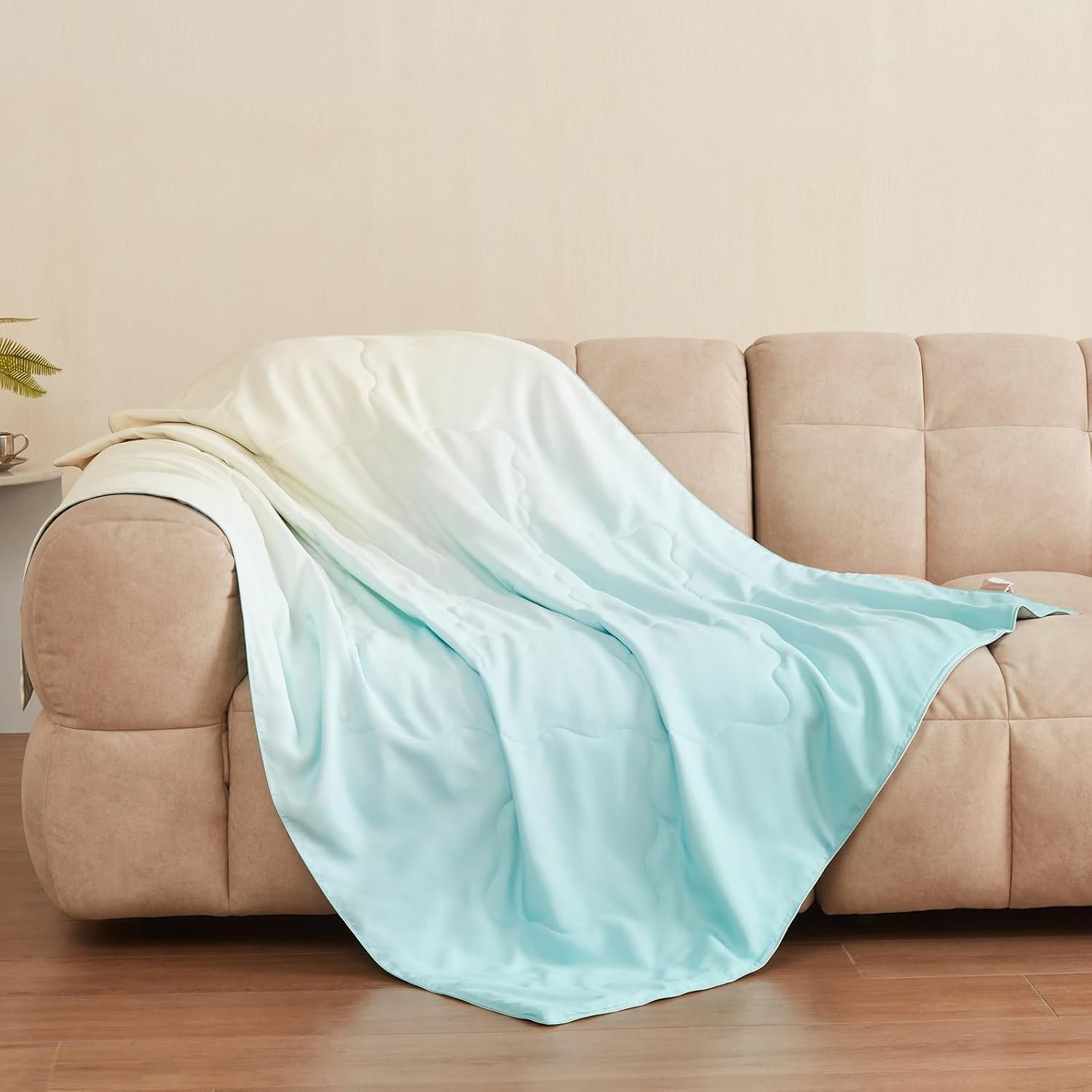 THXSILK Mulberry Silk Throw Blanket, Ombre Gradient Design, 100% Natural Mulberry Silk Filling, Compact for Sofa Couch, Travel & Camping, Machine Washable Decorative Accent Piece(Mint Green, 50"x60")