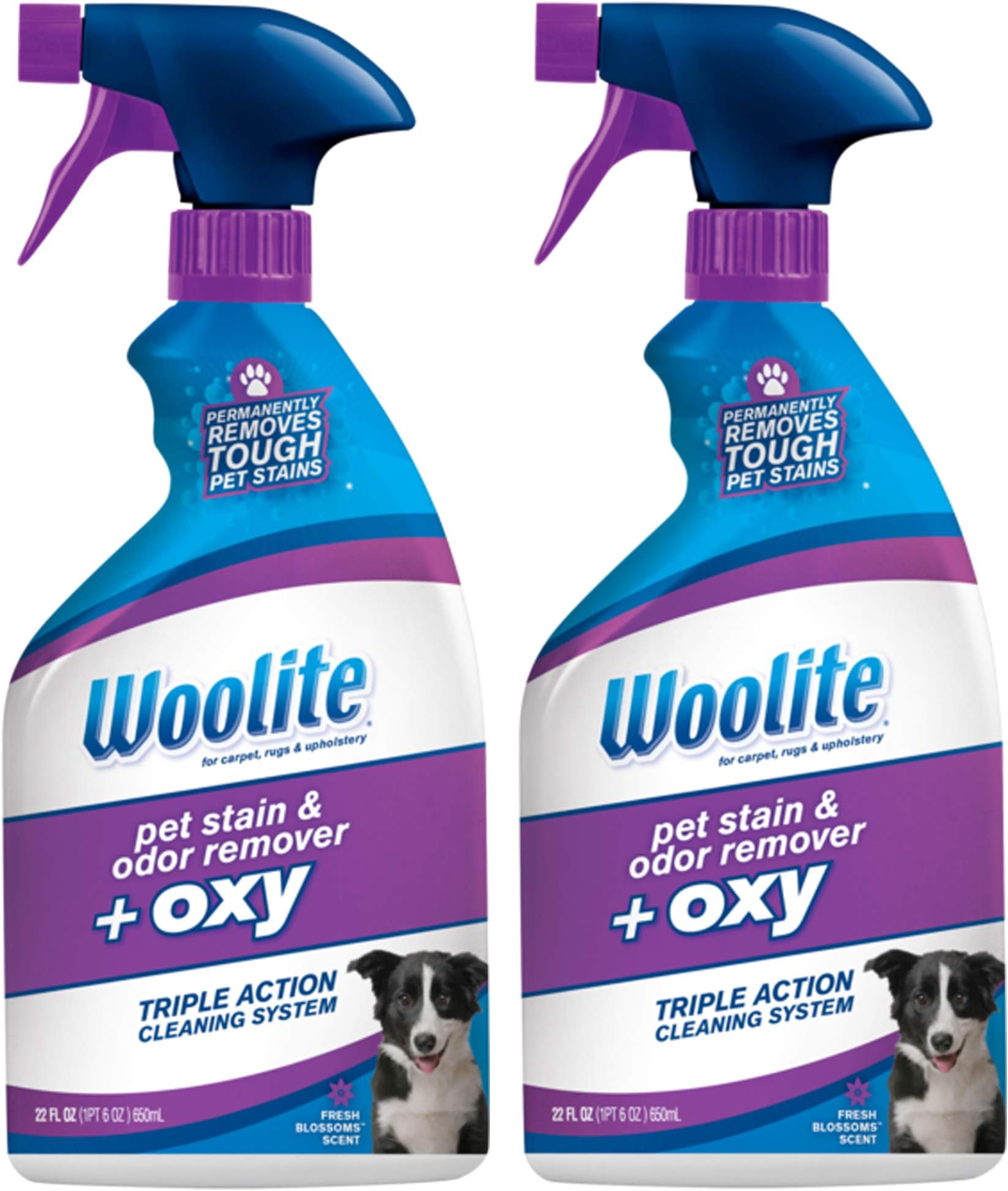 Woolite Pet Stain and Odor Plus Oxy, 22oz (Pack of 2), 2834