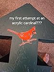 Review Image by Amazon Customer