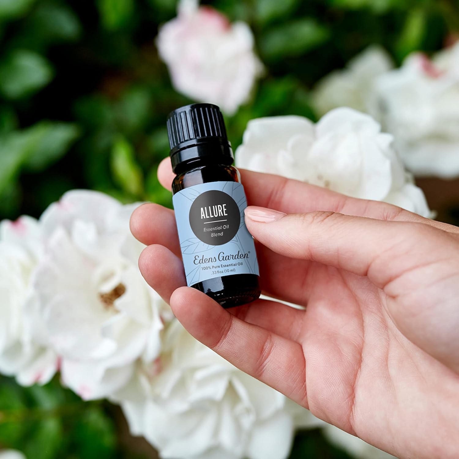 Edens Garden Allure Essential Oil Blend- 100% Pure Premium Grade, Undiluted, Natural, Therapeutic, Aromatherapy, The Best for Diffusing Candle, Laundry, Hair 10 ml (.33 fl oz) - Image 2