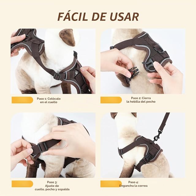 Foto 5 de 7 de GlasFlength Arnés para Gatos con Correa, a Prueba de roturas, Correa para Gatos con arnés Ajustable para Gatos