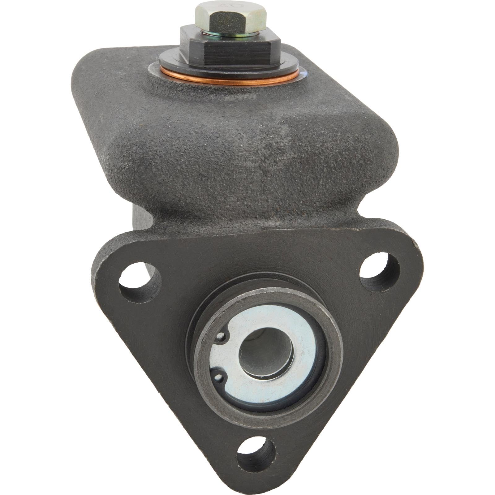 Amazon.com: Speedway Motors Single Master Cylinder 1-1/16 Inch