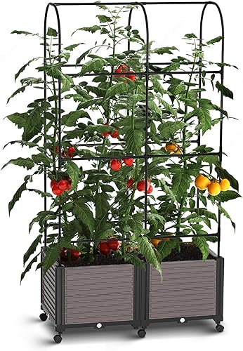 Macetero elevado para cama de jardín con enrejado, macetas de tomate de 72.8 pulgadas para plantas trepadoras, vegetales, flores de vid al aire