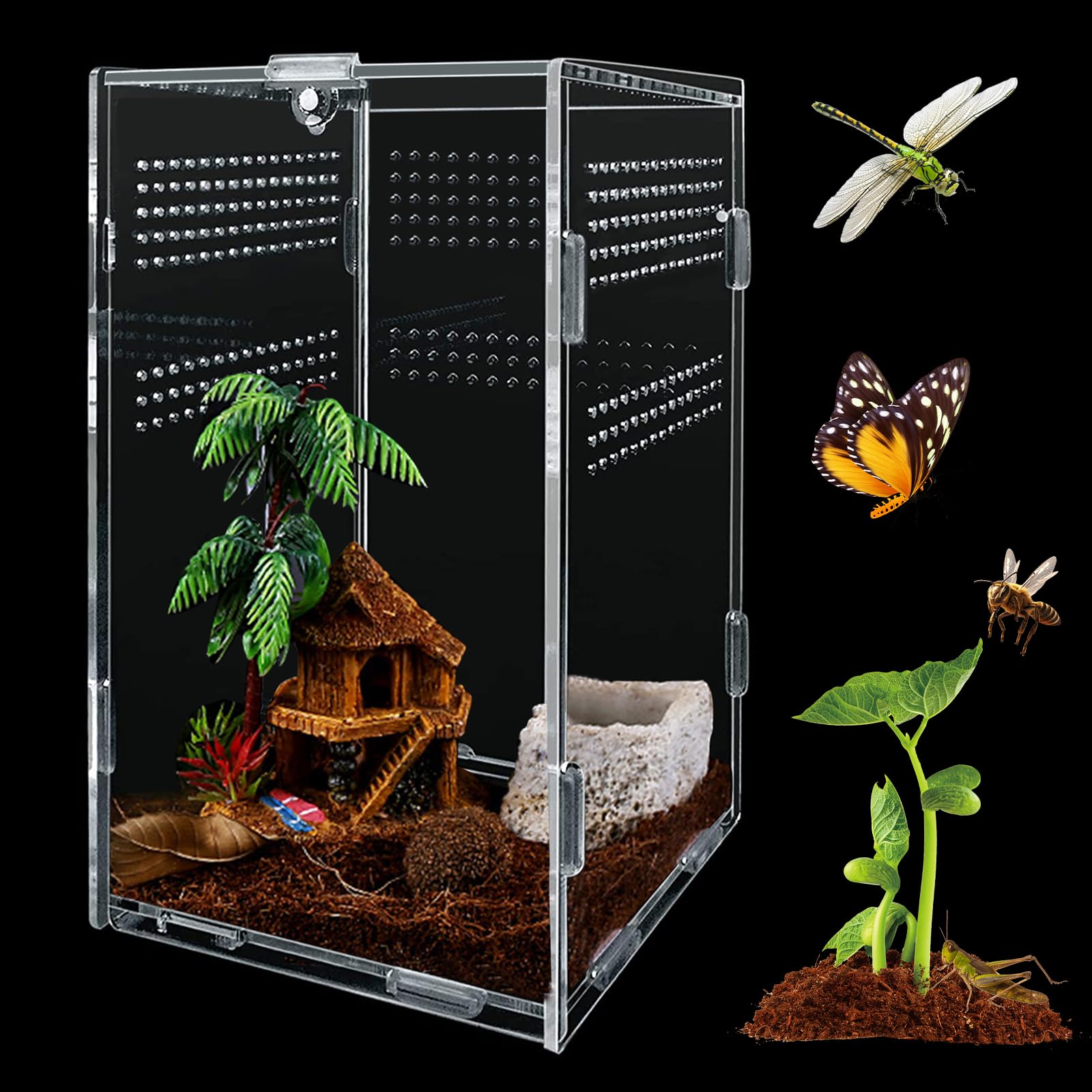 Boîte d'alimentation d'insectes, 12x12x20cm Transparent Boîte d'élevage en Acrylique pour Reptiles, avec Trous d'air, pour Araignées, Grenouilles Cornues, Coléoptères, Lézard et Autres Reptiles