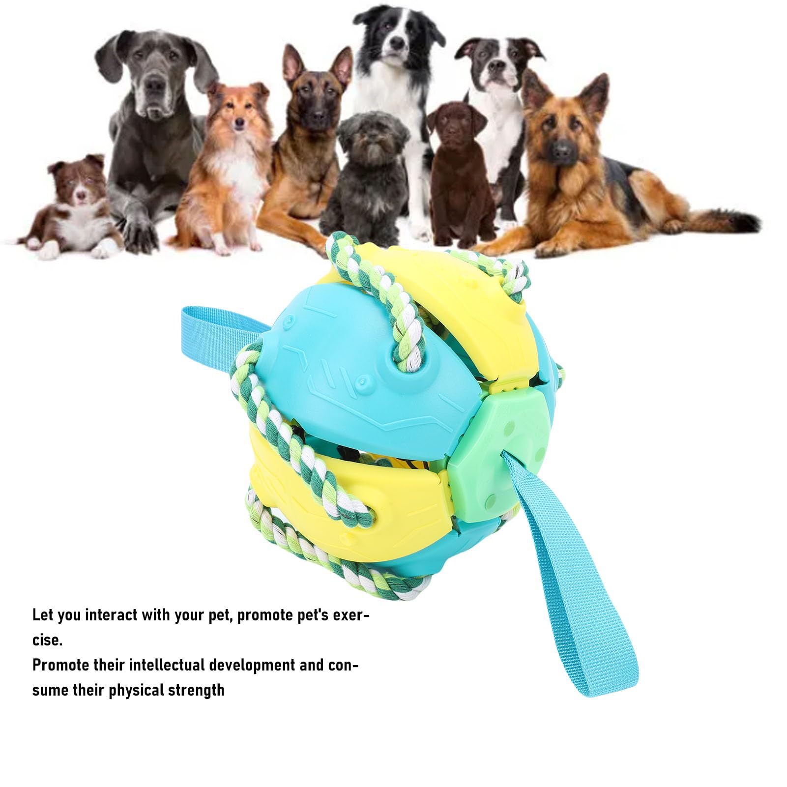 Hundespielzeug Ball mit Seil, interaktiver Kauspielzeug für Hunde, strapazierfähiges Material für Agility Training, Outdoor Übungen und Beschäftigungsspiele (Grün)