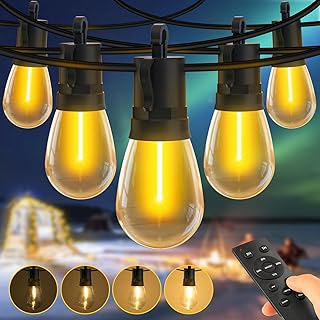 SAEIHGAE Outdoor Festoon Lights Mains Powered: 100ft 30m 30+