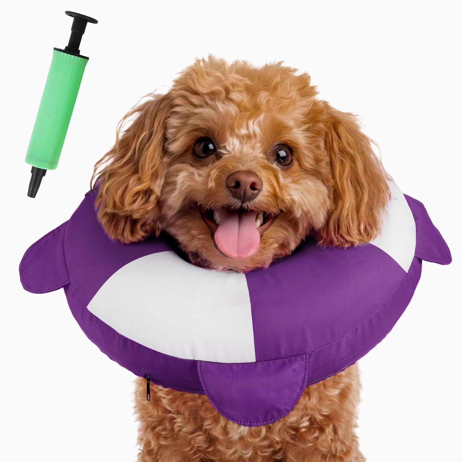 Collier conique gonflable violet pour manger et dormir sereinement après une chirurgie