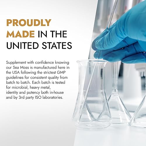 Miniatura 3 de (2 botellas) Cápsulas de musgo marino más superalimentos  Aceite de semilla negra de musgo marino Ashwagandha Ginger (30,000 mg) píldoras de musgo