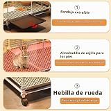 Ver la foto 6