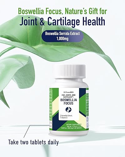 Miniatura 2 de Boswellia Focus para articulaciones y cartílago