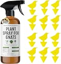 fungus gnat killer Top1商品