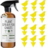 Kate's Home & Garden Plant Spray for Insects & Getting Rid of Gnats with 12 Sticky Traps. Fungus Gnat Killer & Bug Spray for Indoor Plants (16oz, Peppermint, Pet Safe, Non Toxic)