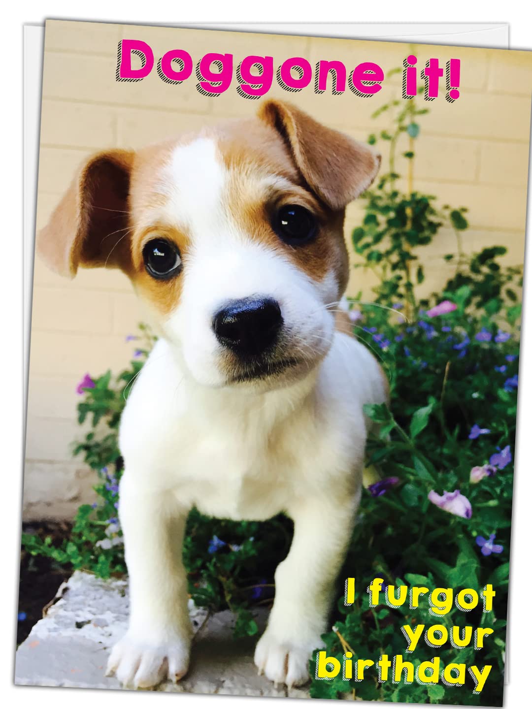 Funny Belated Birthday Card for Dog Lovers – “Doggone It! I Furgot Your Birthday” Jack Russell Puppy Apology Card for Friends, Family, Coworkers