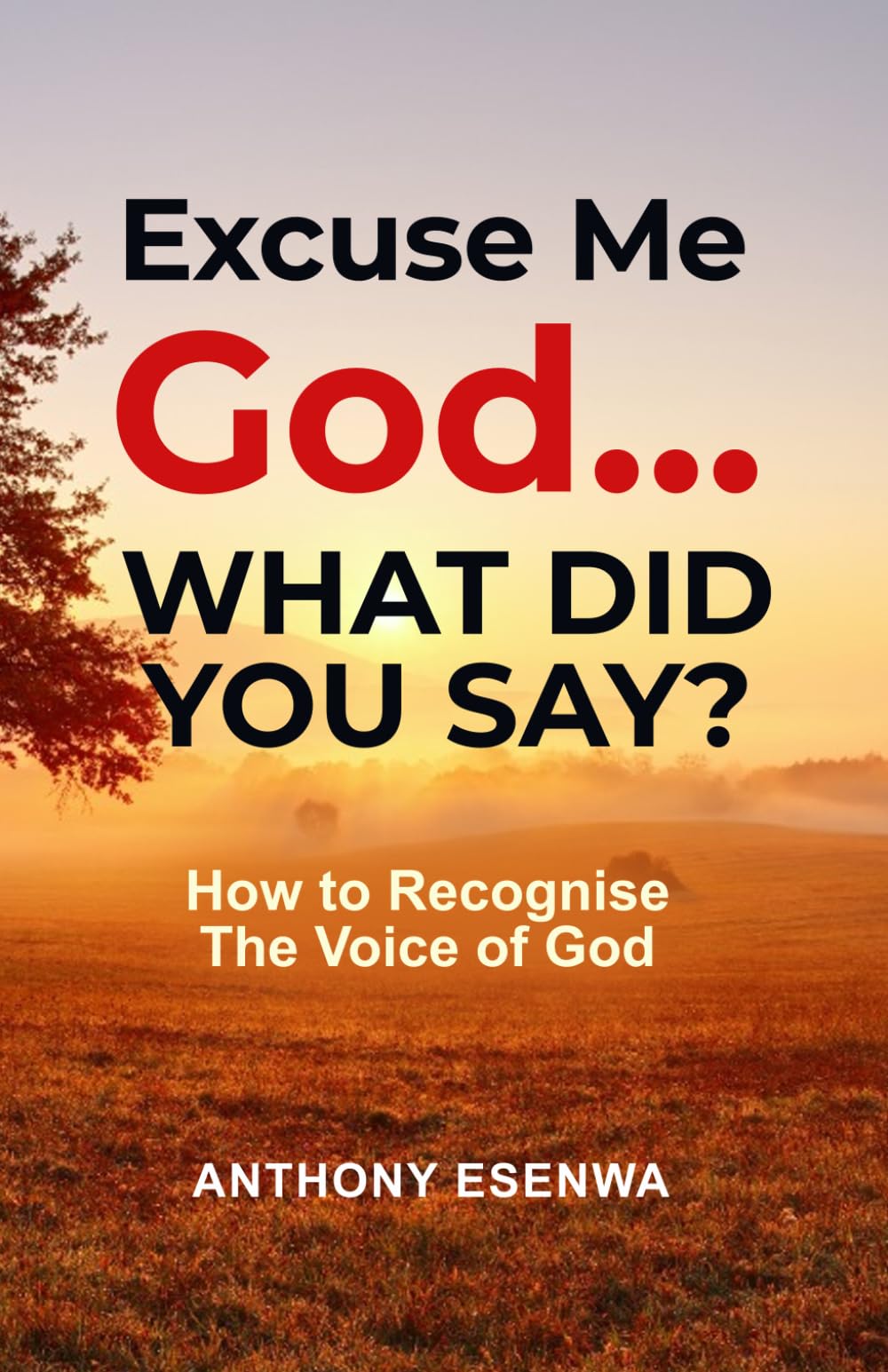 Excuse me God... What did you say?: How To Recognise The Voice Of God.