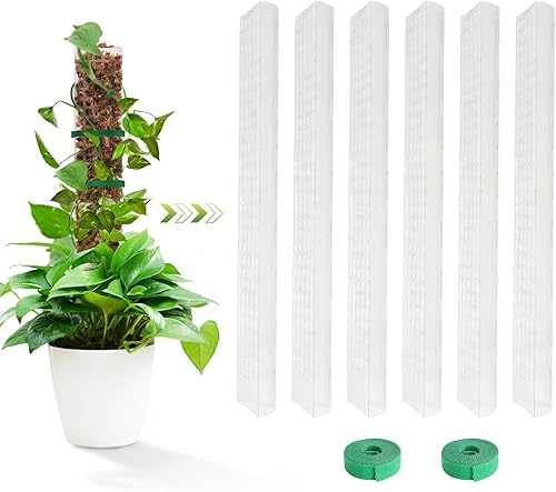 Miniatura 1 de EOX 6 postes de musgo de plástico de 24 pulgadas para plantas Monstera, plantas trepadoras, soporte de plantas para plantas de interior, funciona